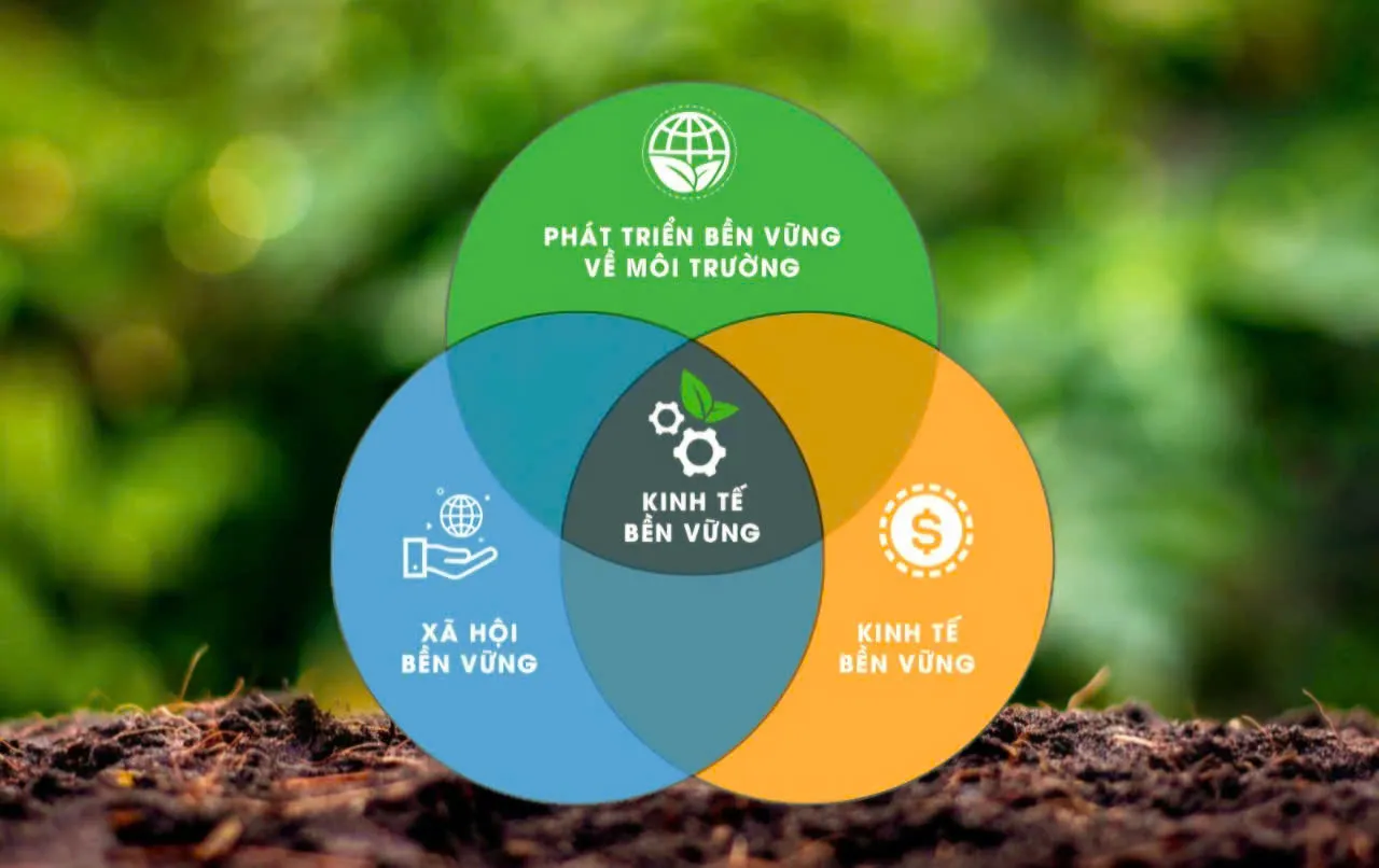 Cùng doanh nghiệp phát triển bền vững trong thời đại mới Phát triển bền vững