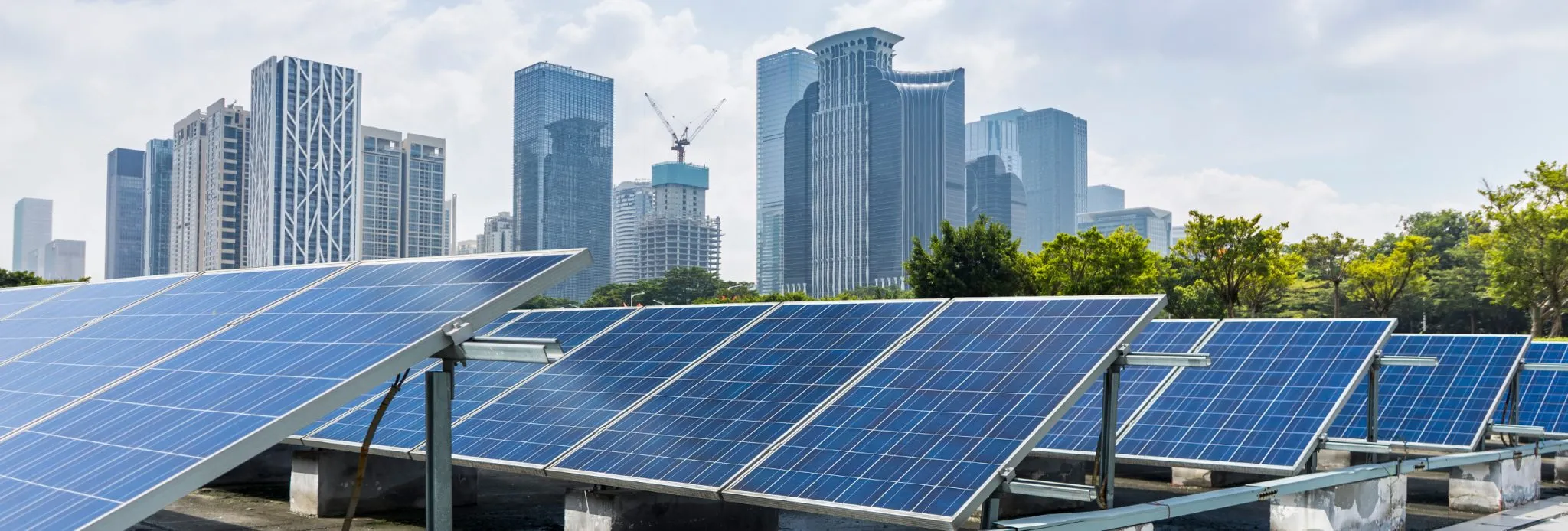 Khi c&ocirc;ng nghệ xanh (Green Tech) l&ecirc;n ng&ocirc;i: Lan tỏa th&ocirc;ng điệp m&ocirc;i trường bền vững qua lăng k&iacute;nh số