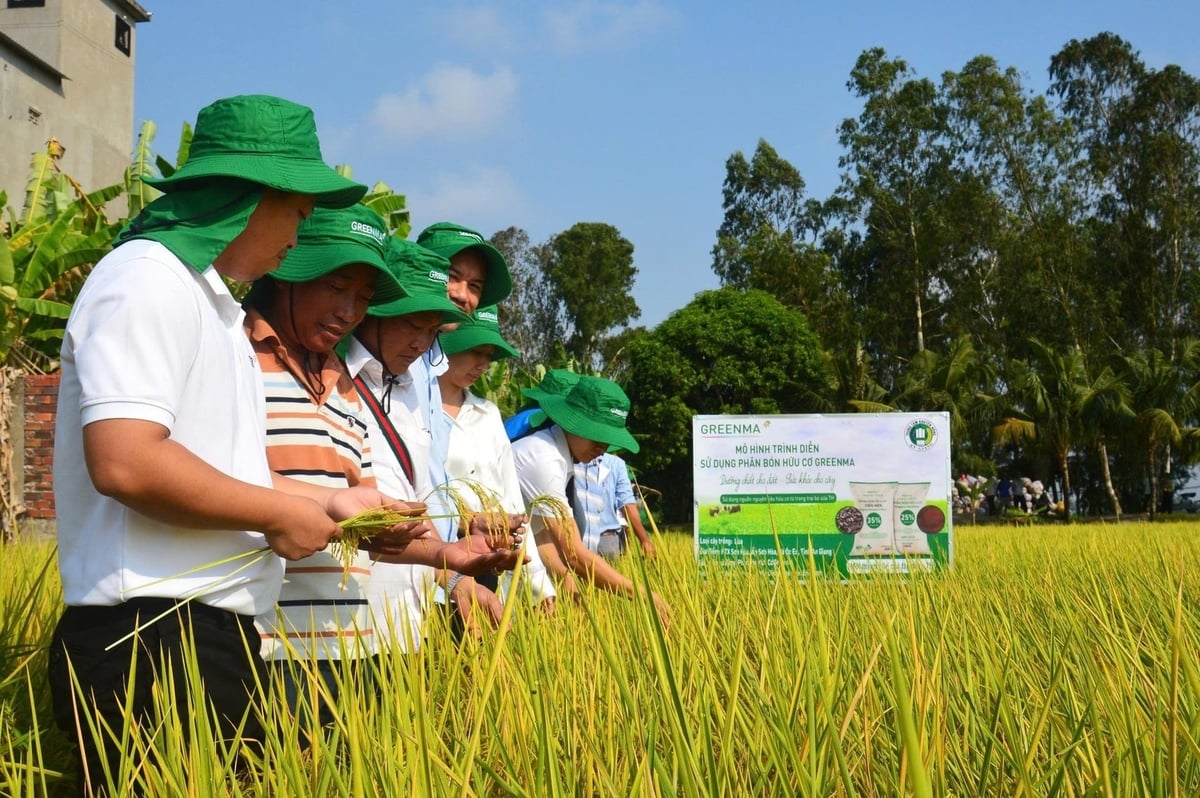 Hỗ trợ phát triển sản xuất gắn với công cụ tài chính thích ứng biến đổi khí hậu. Ảnh: NNMT.